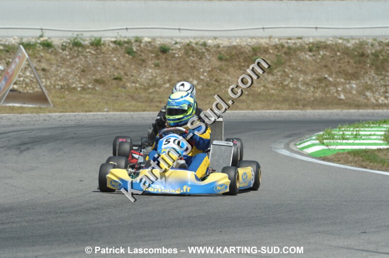 DSC_ (2033).JPG